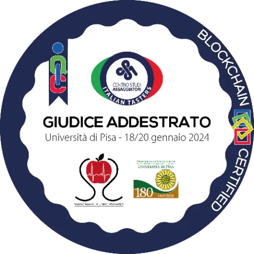 Badge pubblico 39048